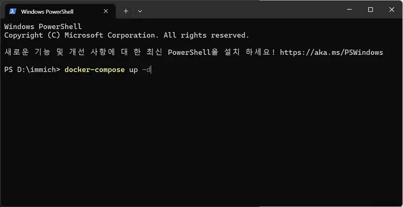 Immich Docker Compose run cmd
